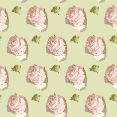 Floral background N399