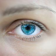 Blue woman eye macro Vector N3