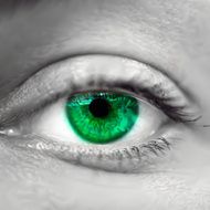 Green female eye macro Vector