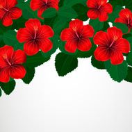 Floral design background Hibiscus flowers N2