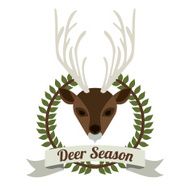 animal design N17