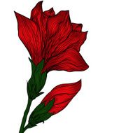 Vector hand drawn bright flower in retro style N2