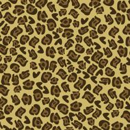animal design N24