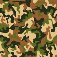 Camouflage Colors