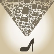 Bag from shoe