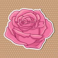 Rose N9