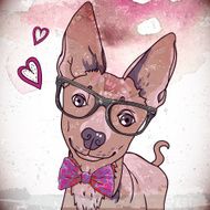 Hipster background with a dog N6