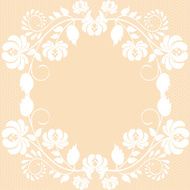 lace fabric background N34