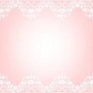 lace fabric background N35