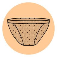 Lacy sexy vector panty N6