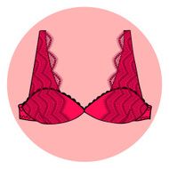 Lacy sexy vector bra N7