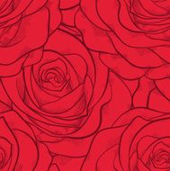 beautiful seamless pattern in red roses with contours