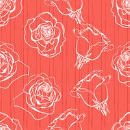 contours roses