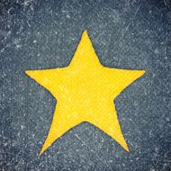 Yellow Star N13