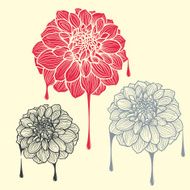 Hand-drawn flowers of dahlia N11