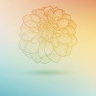 Hand drawn Dahlia flower N4