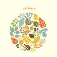 autumn leaf background N28
