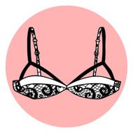 Lacy sexy vector bra N8