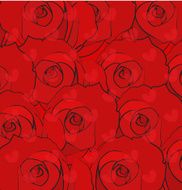 red rose for background vector