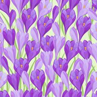 Spring flowers crocus natural seamless pattern