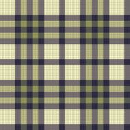 Color fabric plaid Seamless vector illustration N4