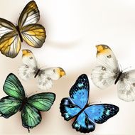 Fashion vector background with butterflies N3