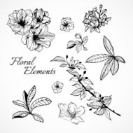 Set of floral elements N14