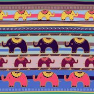 Elephants N20
