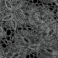 seamless textile monochrome pattern of lace