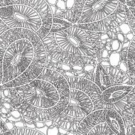 seamless textile monochrome pattern of lace N2