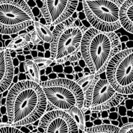 seamless textile monochrome pattern of lace N3