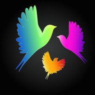 background with a flying birds