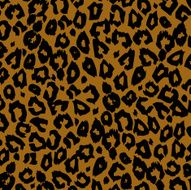 leopard pattern N10