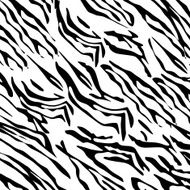 Zebra Pattern N13