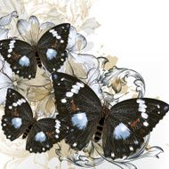 Fashion vector background with butterflies N4