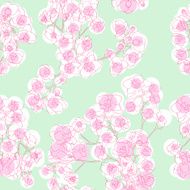 Colored orchids pattern
