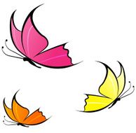 Butterflies N23