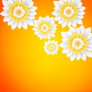 Paper flowers postcard