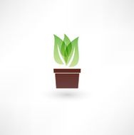 Flower in a pot icon N5
