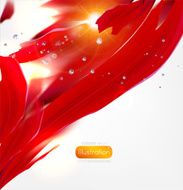 Flower Petals Abstract Illustration N4