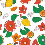 Lemons N15