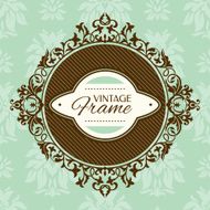 Vintage Floral Frame N8
