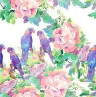 romantic parrots and exotic flowers N2
