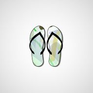 Abstract illustration on flip flops N172