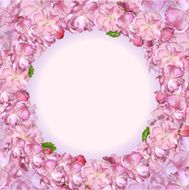 japanese cherry
