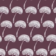 Mushrooms N48