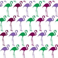 Flamingos N4