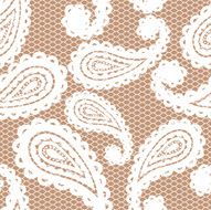 Lace seamless pattern with paisley N5