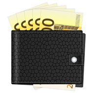 wallet with two hundred euro banknotes