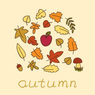 autumn background with colored leafs